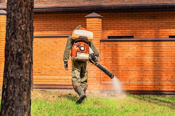 Bed Bug Clearance Verification and Documentation in Auburndale